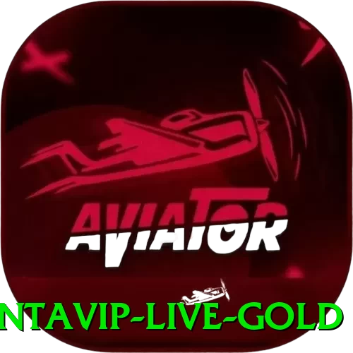 contavip Live Gold - pk